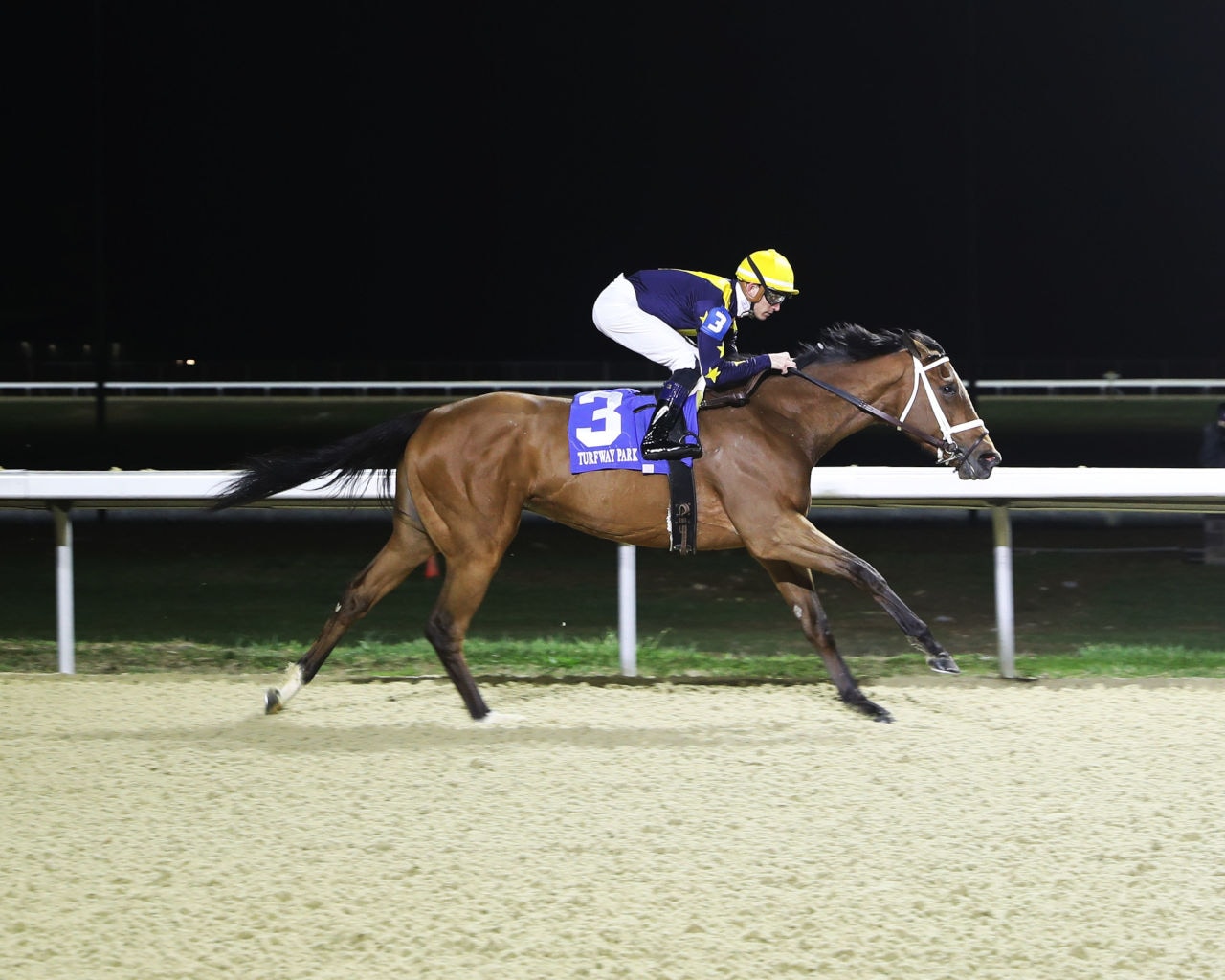 Botanical looks to dominate another Turfway race in Bourbonette Oaks