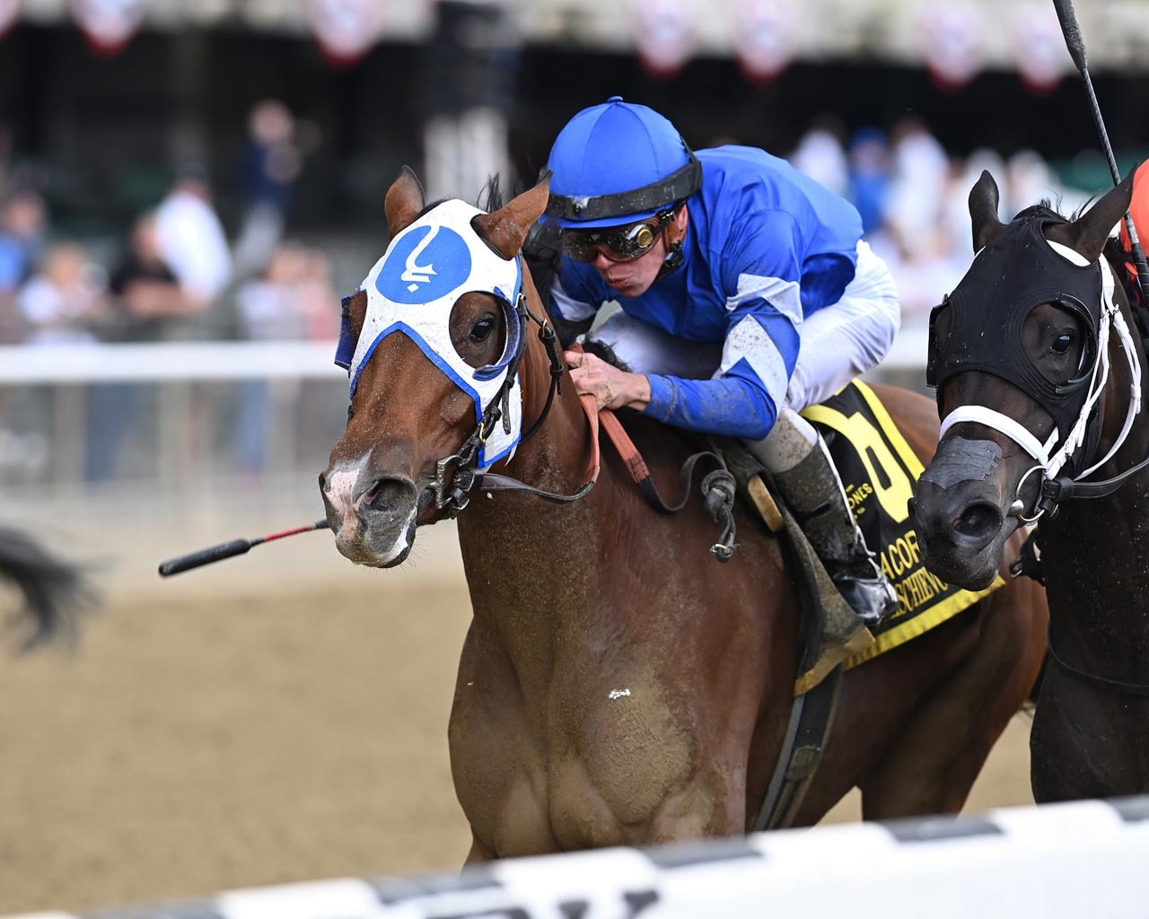 Pretty Mischievous adds Acorn