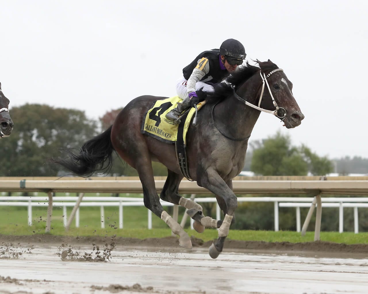 Damon’s Mound proves best in Gallant Bob; Nobody Listens dominates Turf Monster