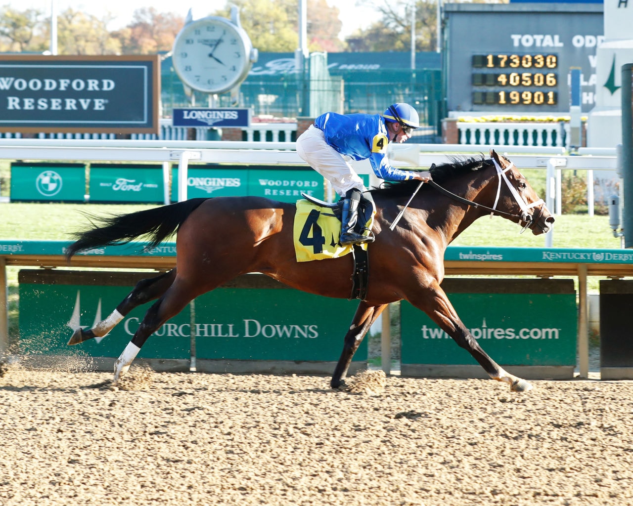 Nash tops field of eight in Gun Runner; six fillies to contest Untapable