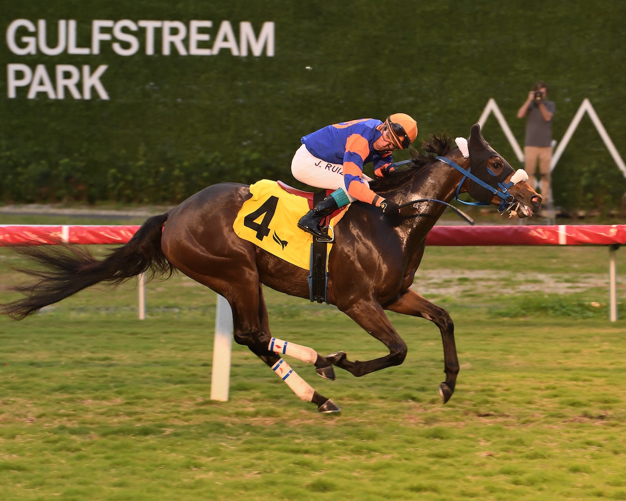 Tocayo makes all in Dania Beach, Ozara earns second stakes win in Ginger Brew