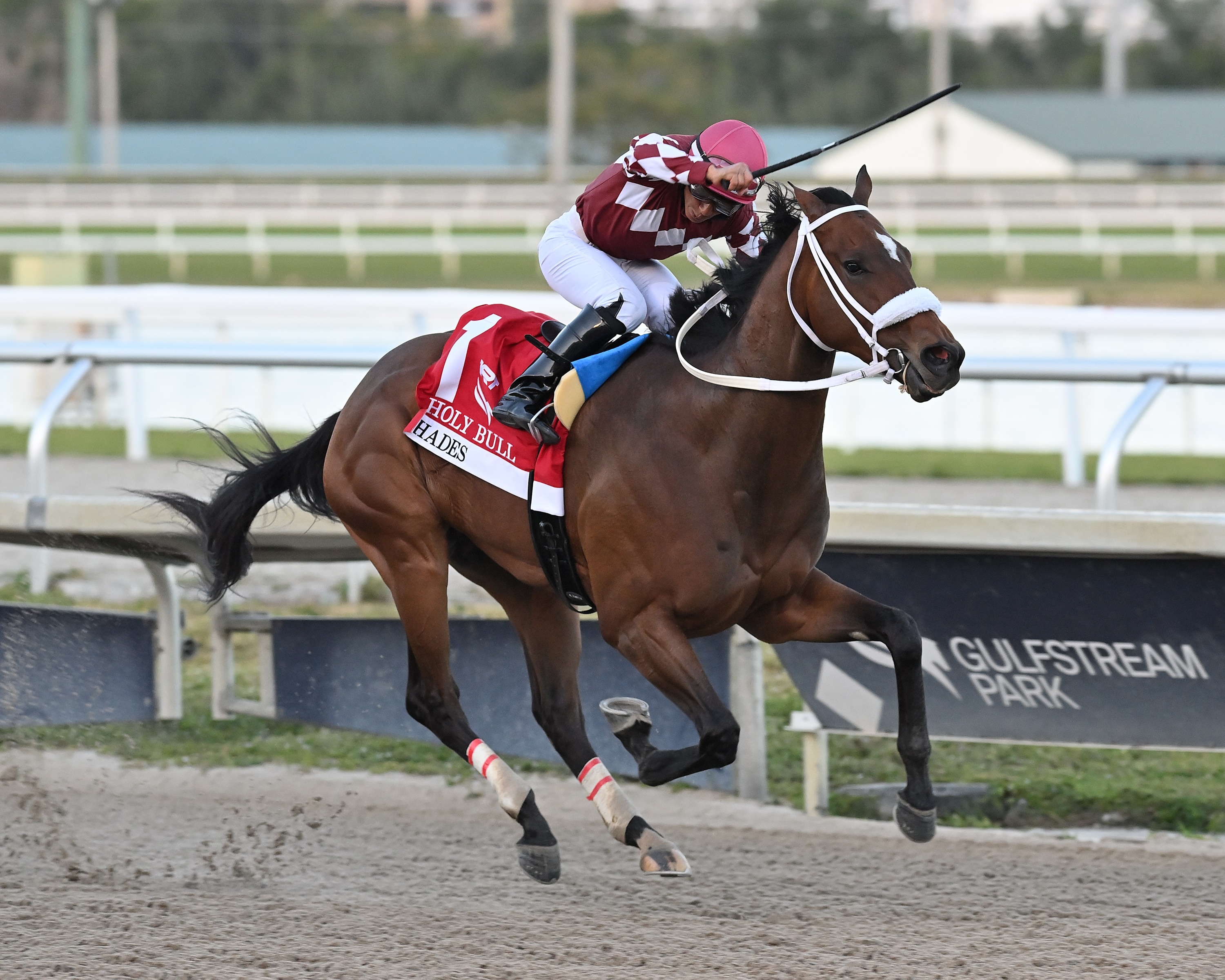 Derby spot on line for Hades in Lexington; Grade 1 talent runs deep in Jenny Wiley