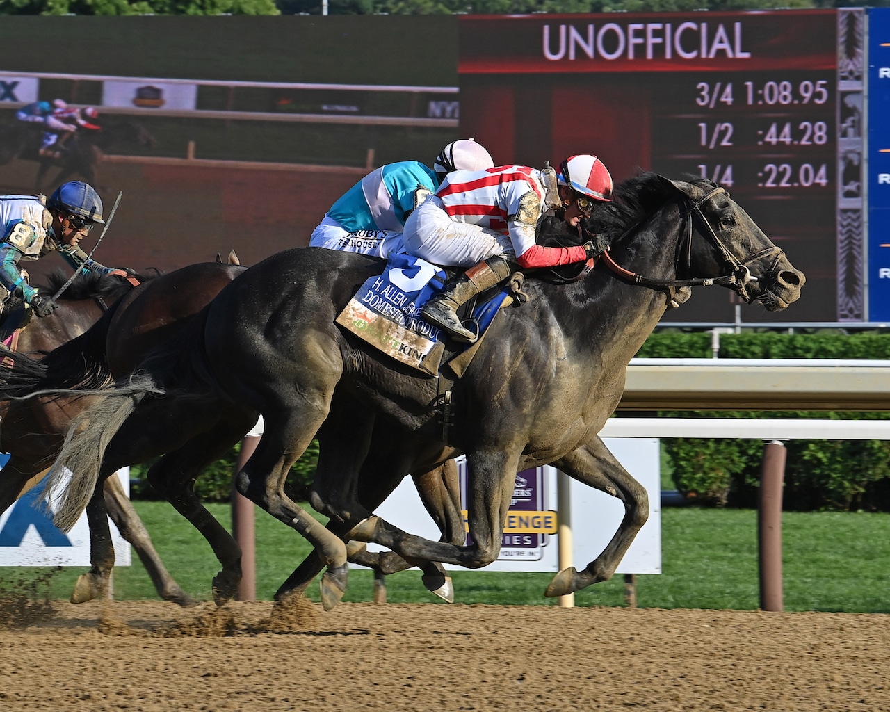 Prat bags Grade 1 sprint double with Domestic Product, Mullikin