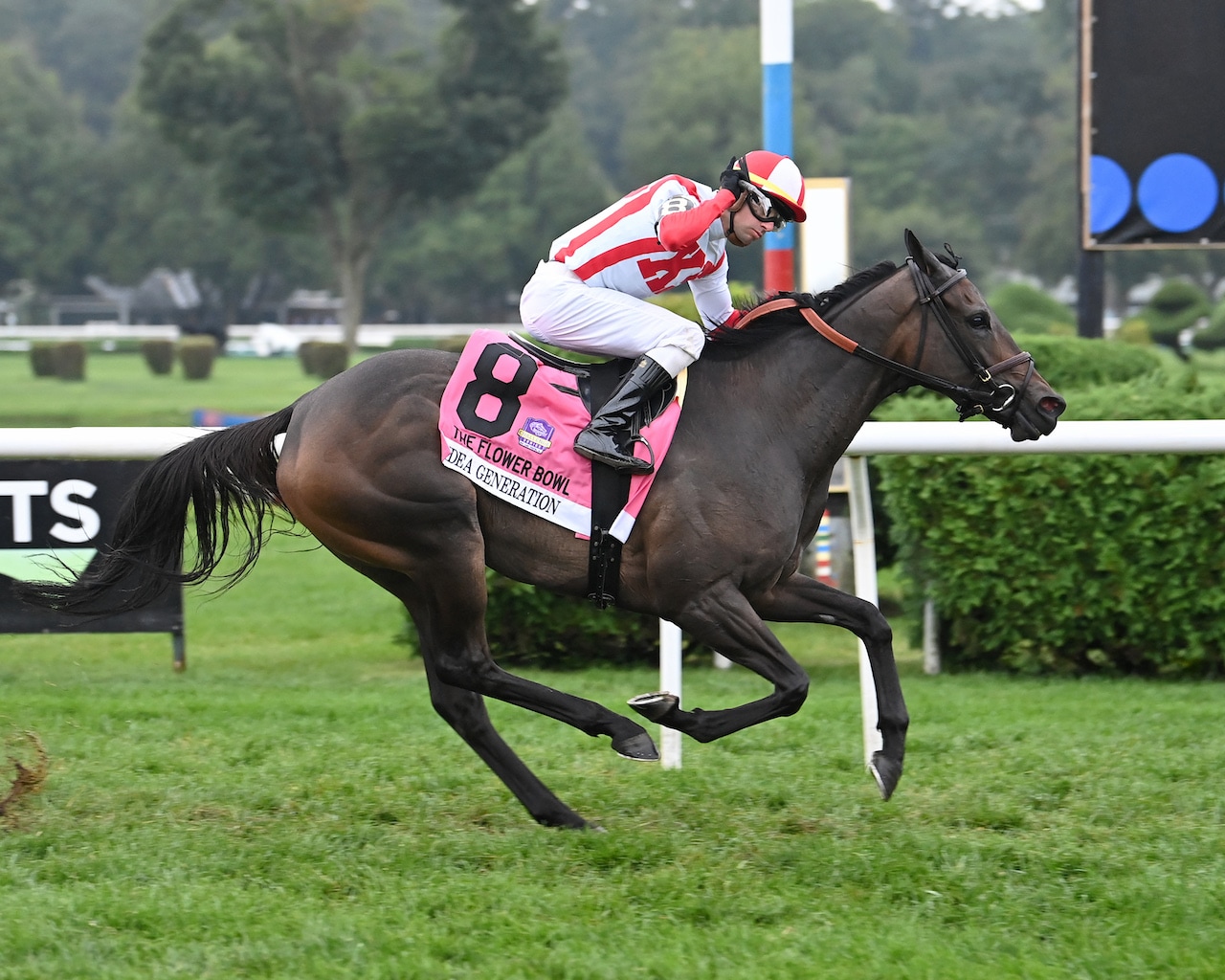 Idea Generation makes all the running to stun rivals in WAYI Flower Bowl