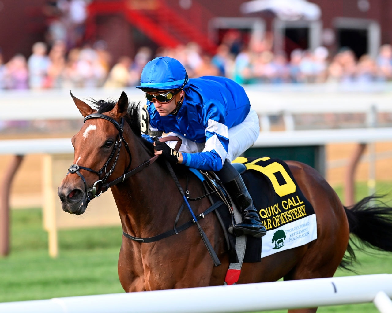 Franklin a possible Breeders' Cup springboard for Star of Mystery