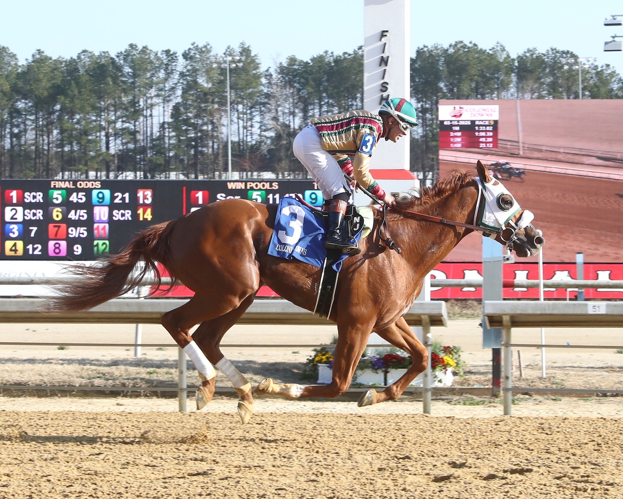 American Promise wins the Virginia Derby