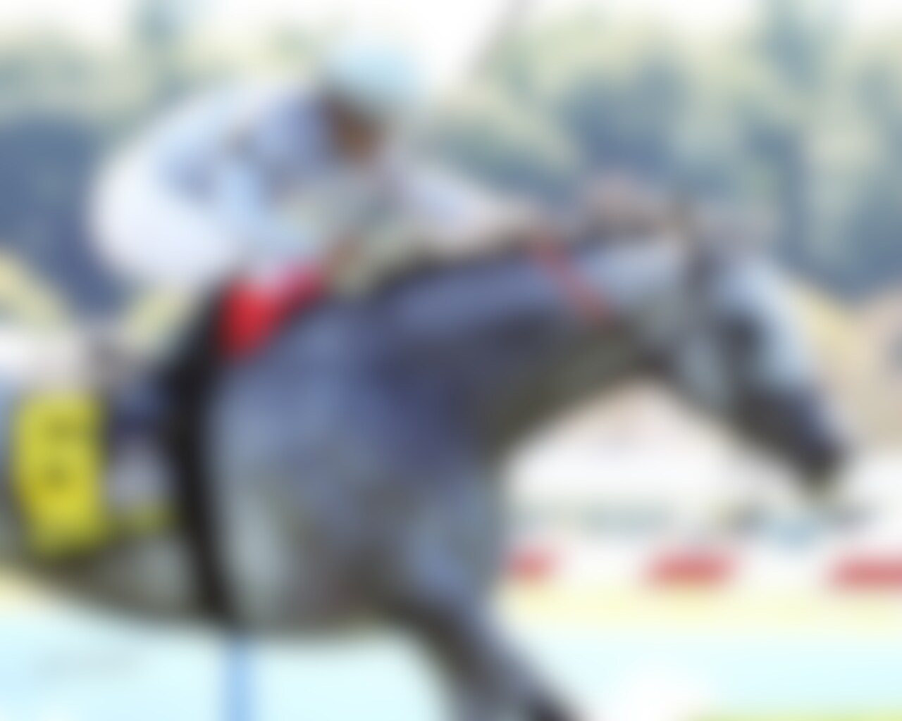 AG Bullet wins the Never Say Die Ladies Turf Sprint Stakes at Kentucky Downs. 