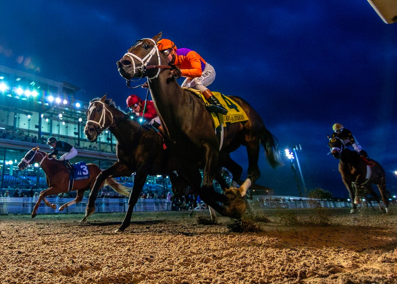 Accelerize wins the Louisiana Stakes at Fair Grounds.