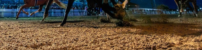 Stakes newcomer Accelerize repels Just a Touch in Louisiana