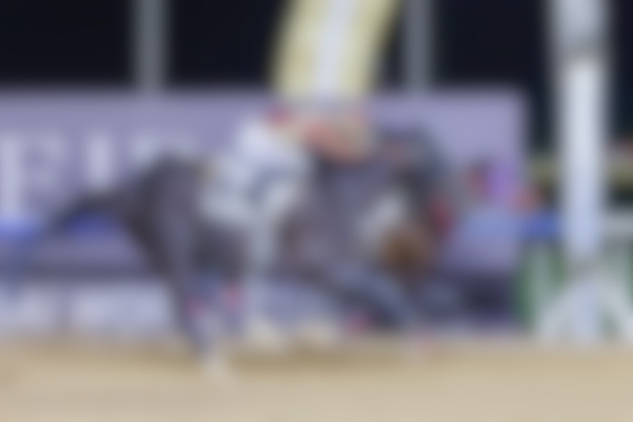 Admire Daytona hangs on from Heart of Honor in the UAE Derby