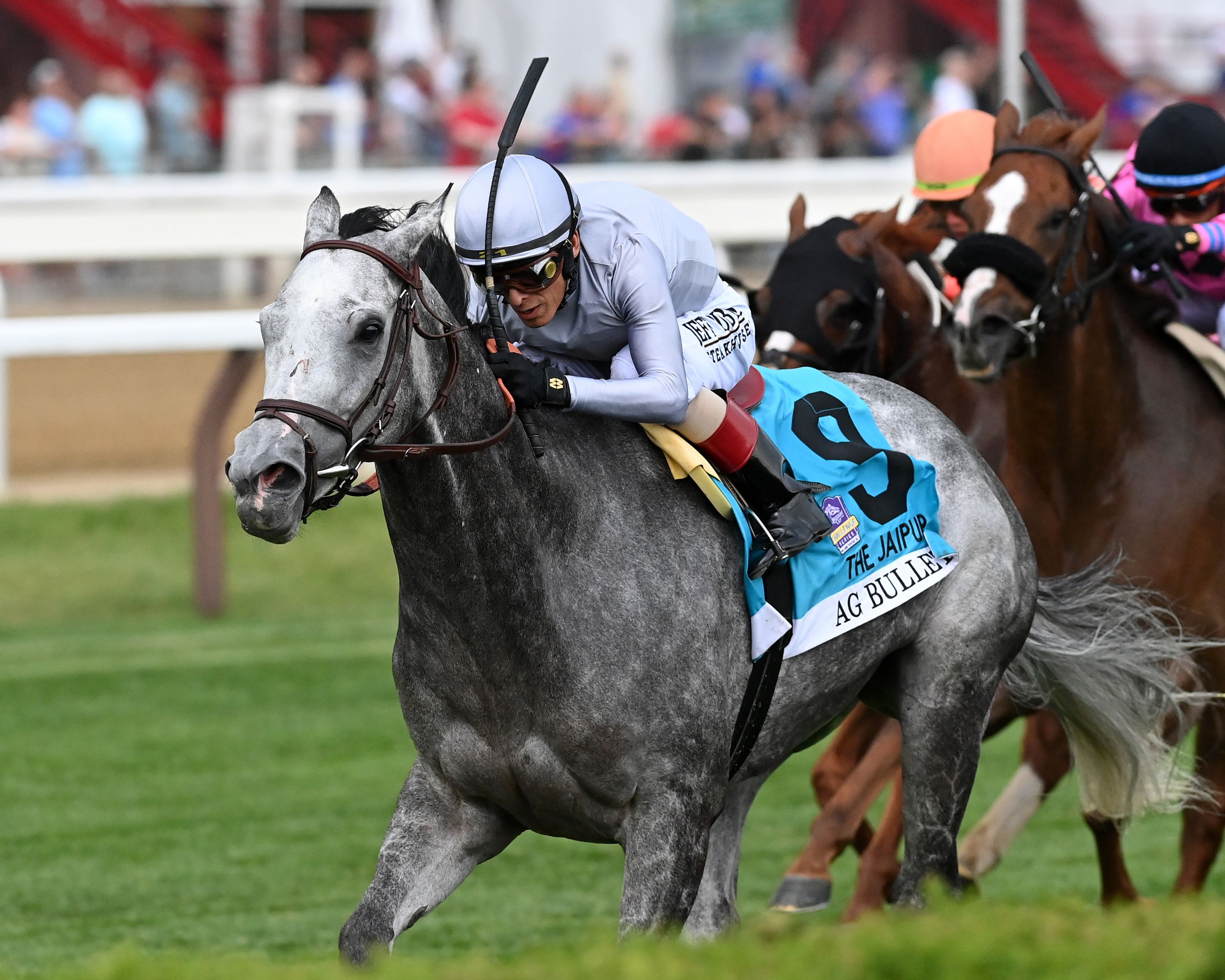 Ag Bullet earned a BC Turf Sprint ticket in the Jaipur