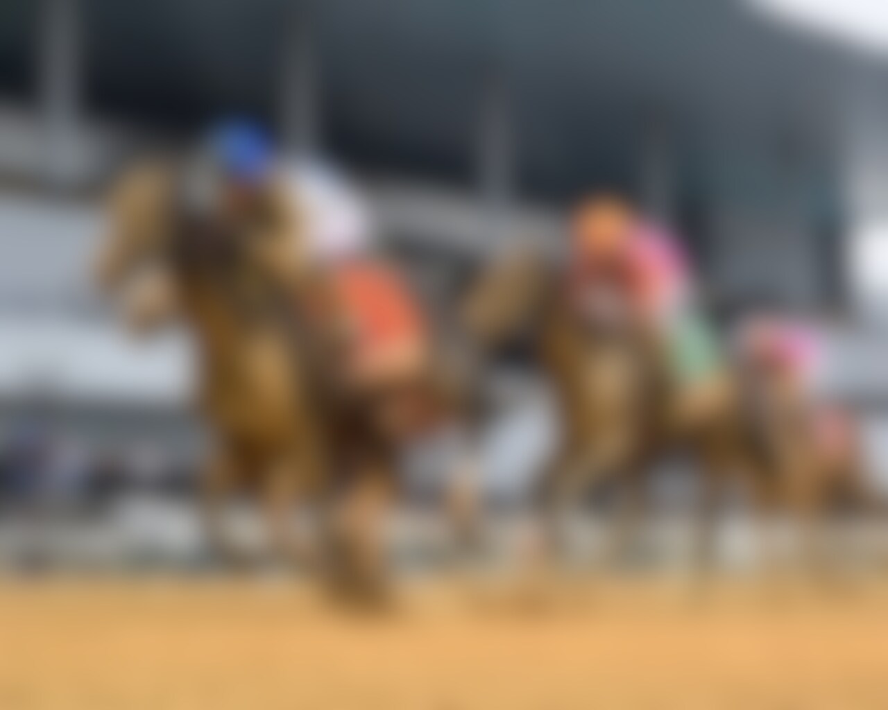 Albus wins the Wood Memorial at Aqueduct.
