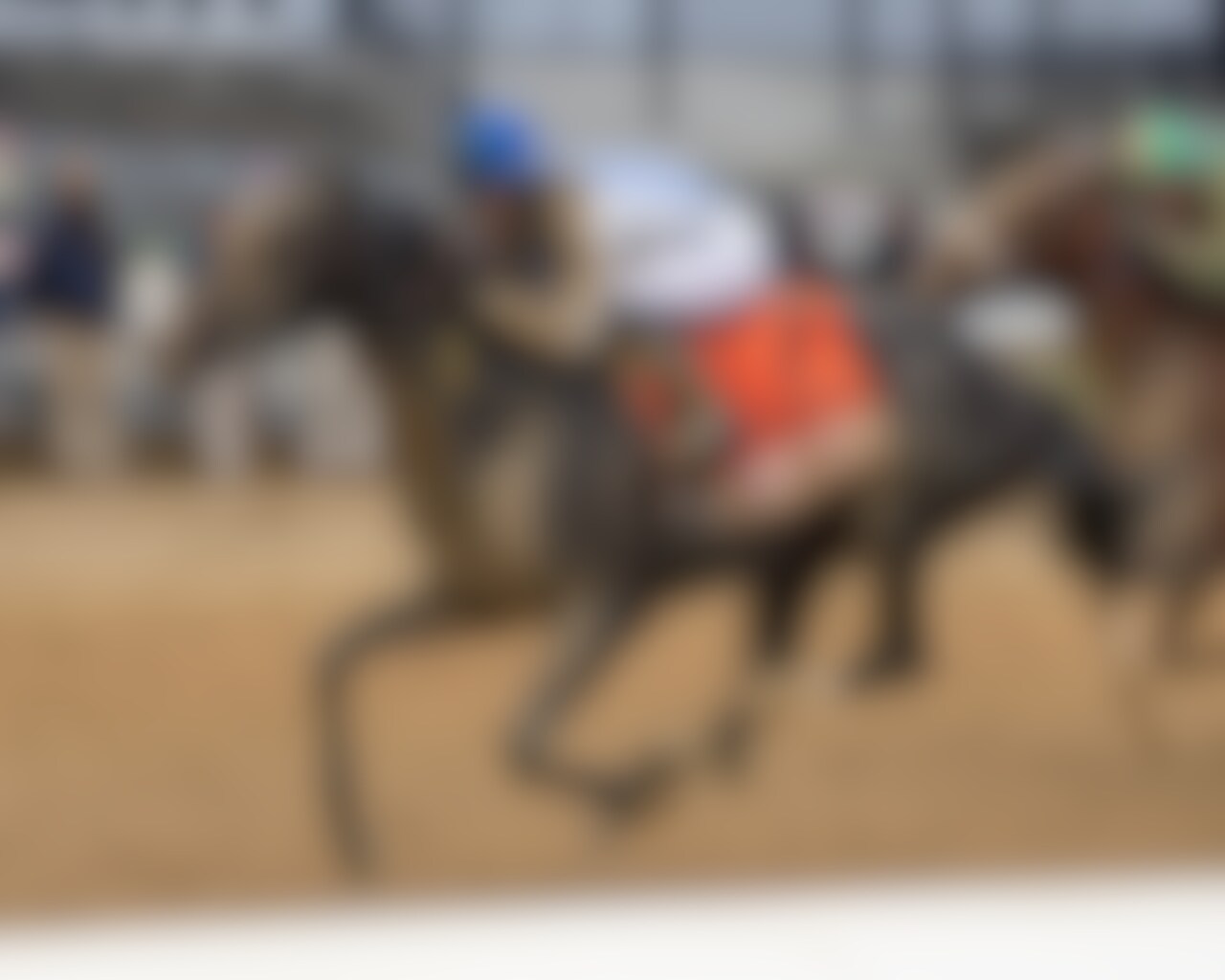 Albus wins the Wood Memorial at Aqueduct.