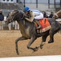 Albus upsets Wood Memorial; Always a Runner sharp in Gazelle