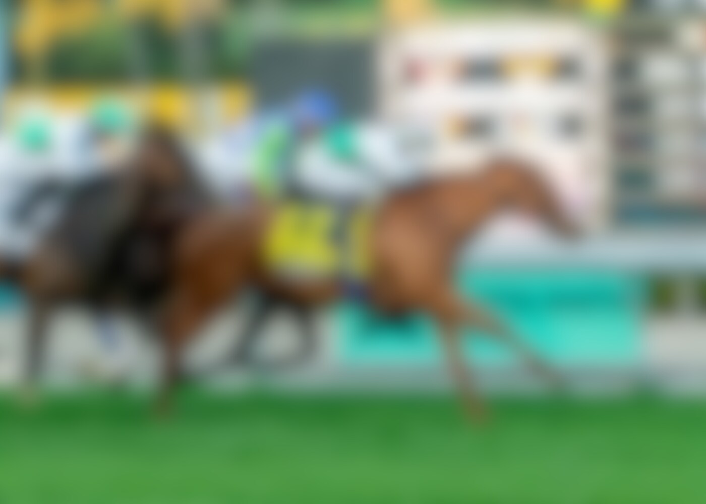 Ambaya scored an upset in the American Oaks (G1)