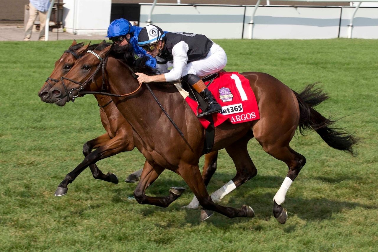 Argos, Corsia Veloce earn BC berths in Woodbine juvenile turf stakes