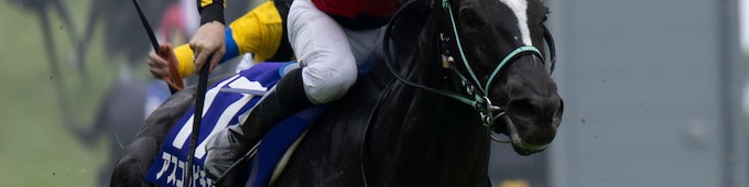 Ascoli Piceno gets up in BC WAYI Victoria Mile cavalry charge