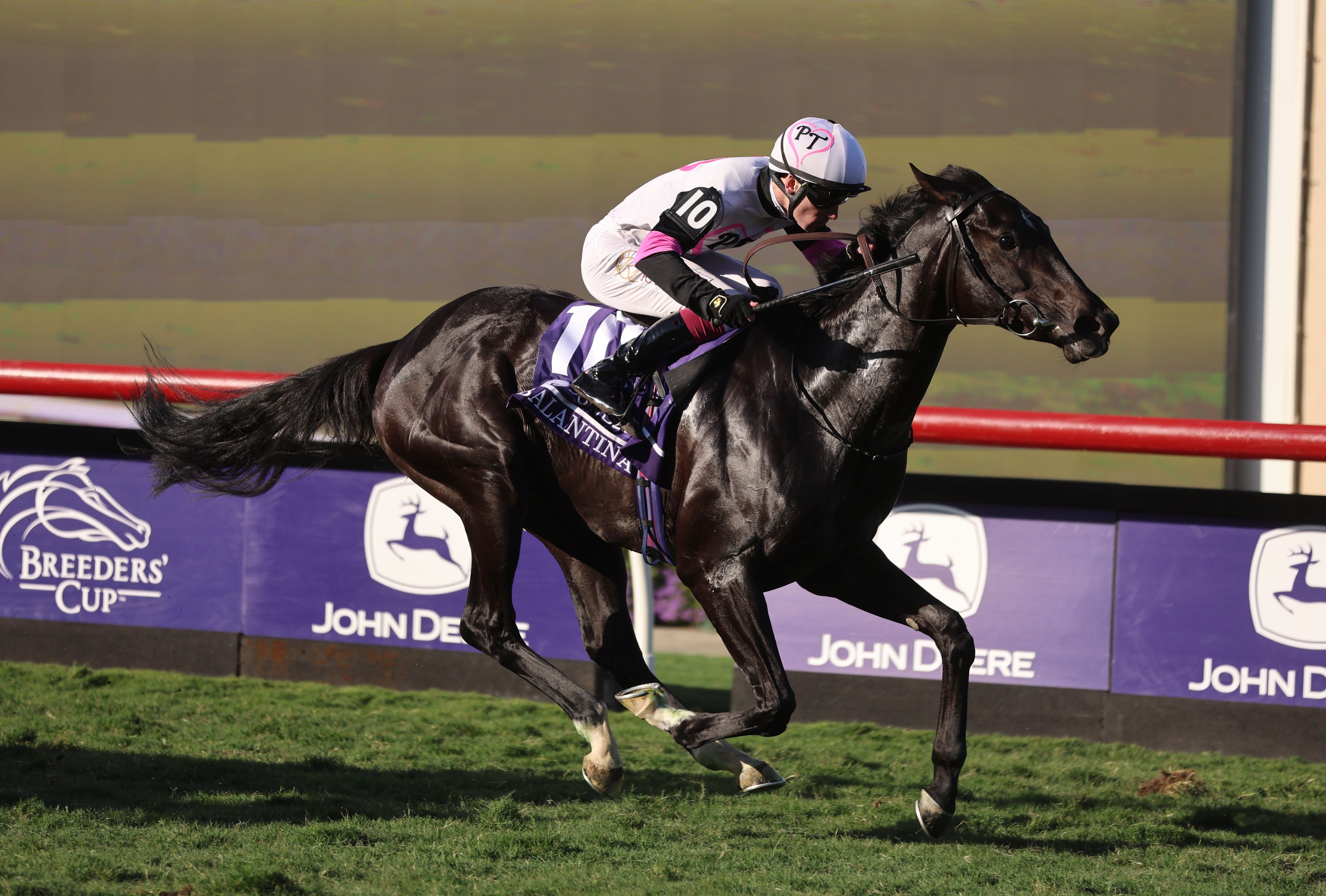 Balantina winning the Breeders' Cup Juvenile Fillies Turf (G1) at Del Mar