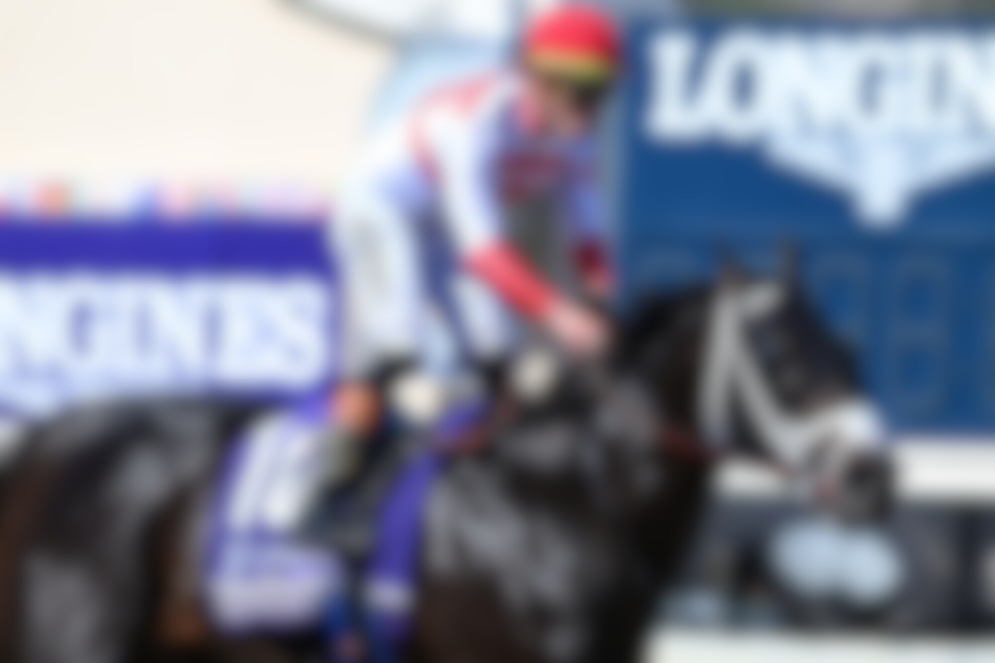 Bentornato winning the Breeders' Cup Sprint (G1) at Del Mar