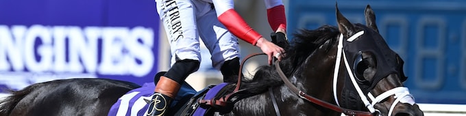 Bentornato too speedy in Breeders' Cup Sprint