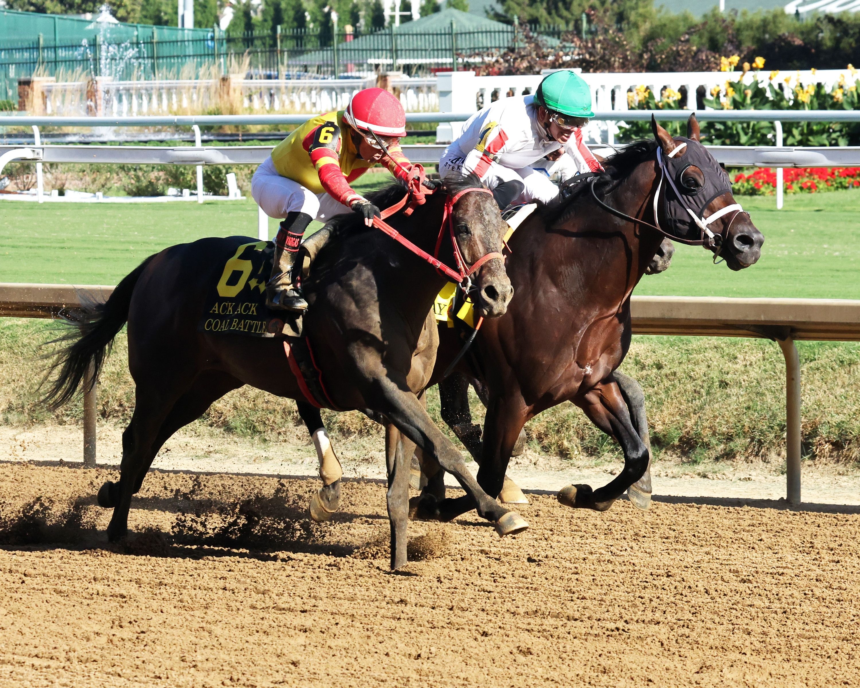 Bishops Bay wins the Ack Ack Stakes at Churchill Downs. 