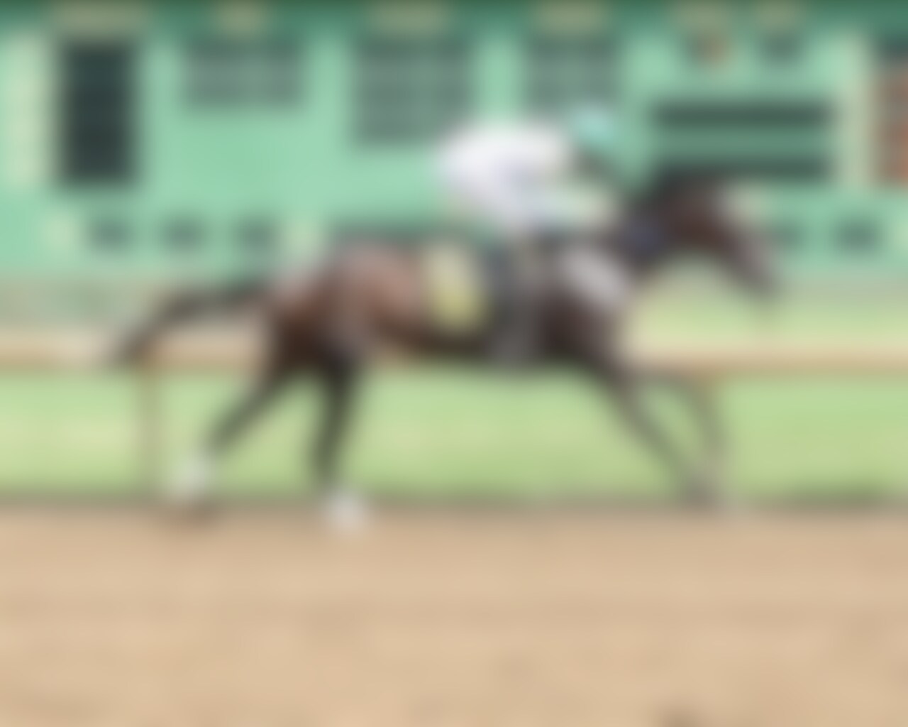 Blackout Time wins at Ellis Park. 