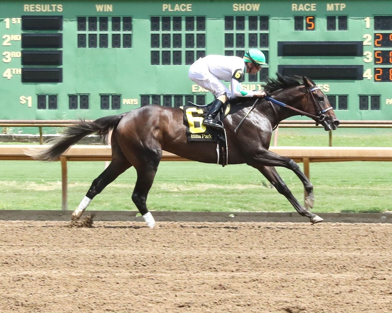 Blackout Time wins at Ellis Park.