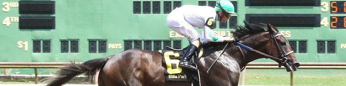 Blackout Time, Litmus Test highlight Rebel; Explora invades for Honeybee