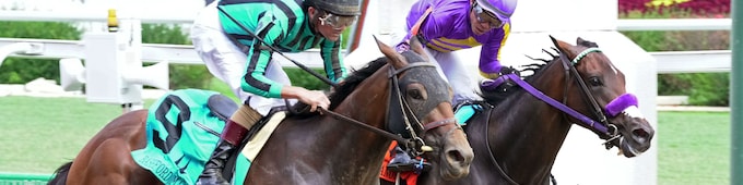 Blessed Flyer upsets Bashford Manor; Pierette prevails in Debutante