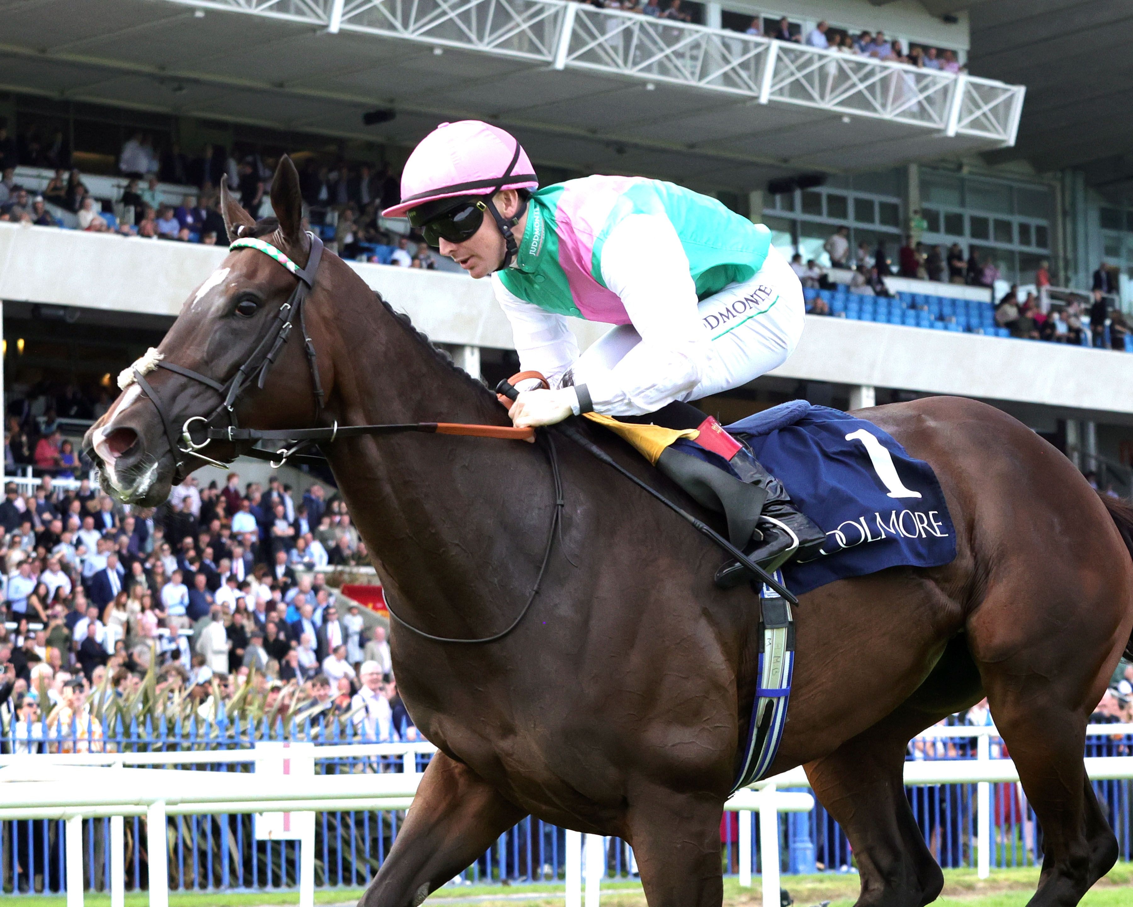 Blue Bolt extended her winning streak to five in the Matron (G1)