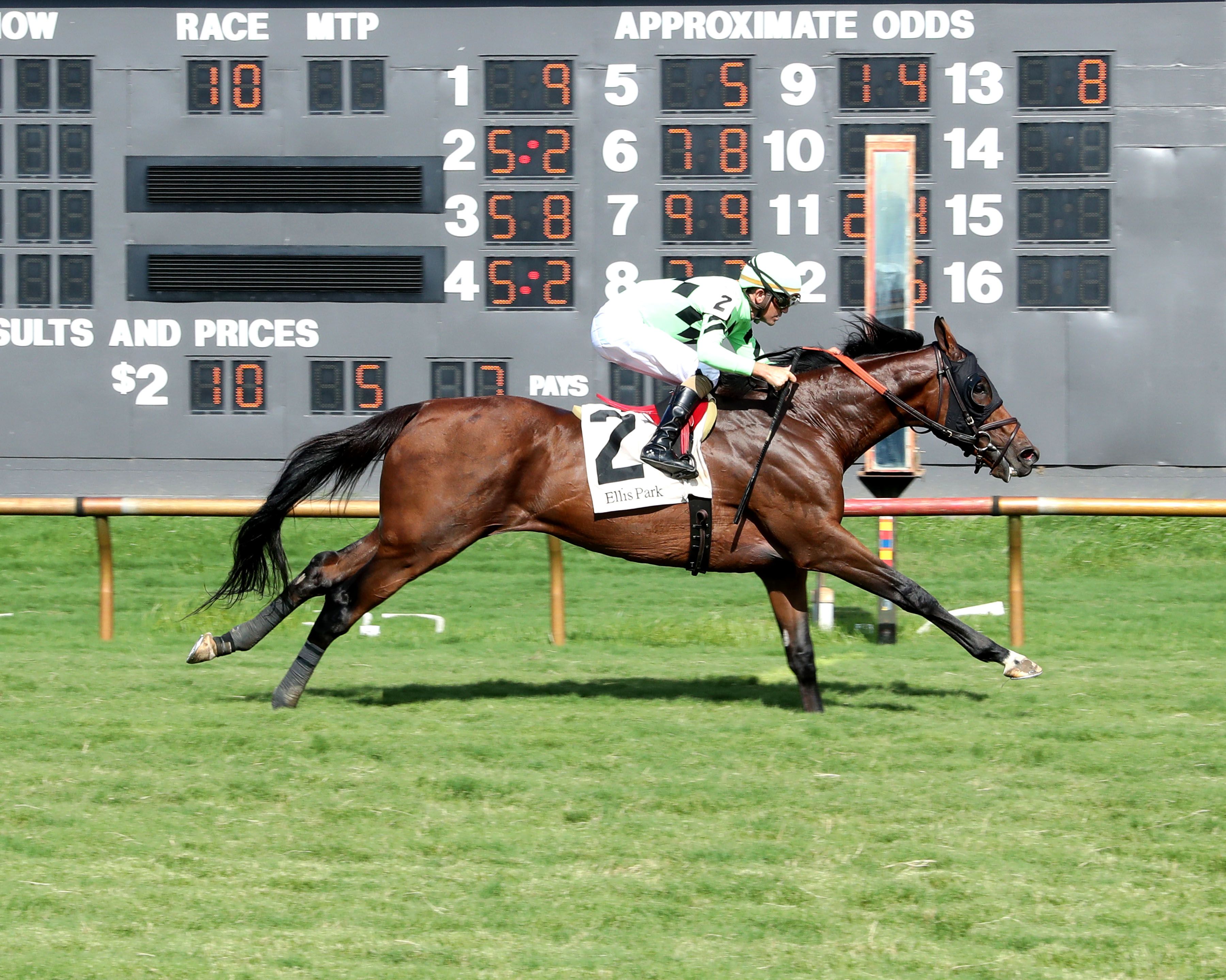 Brilliant Berti regained the winning thread in the Green River Island S. at Ellis Park