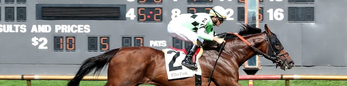 Brilliant Berti responds to blinkers in Green River Island