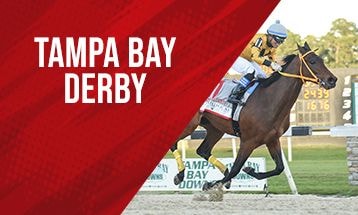 Tampa Bay Derby PPs and Picks
