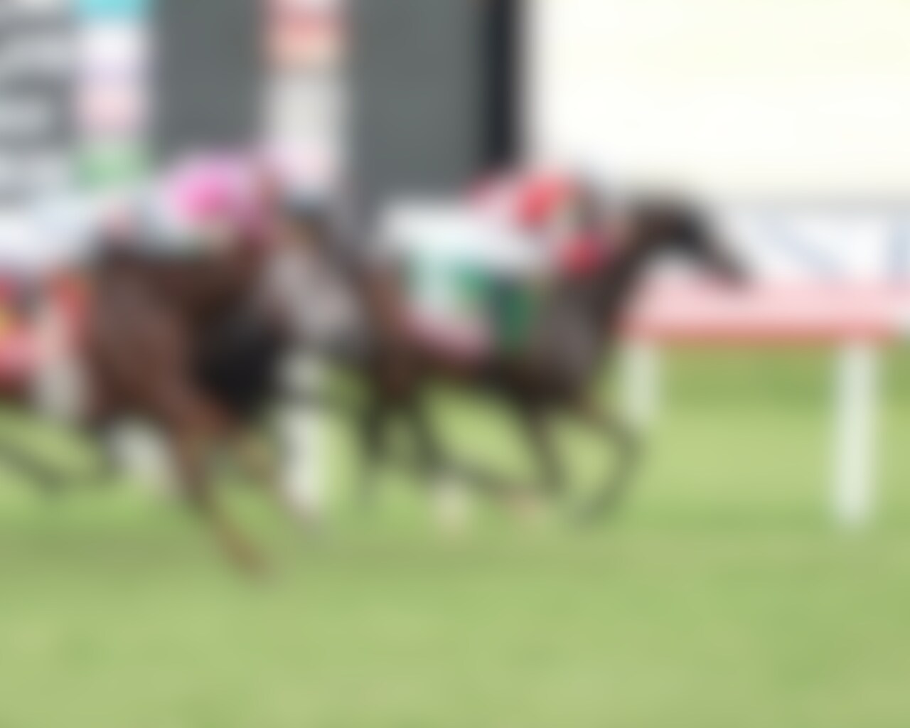 Burnham Square wins the Arlington Million at Colonial Downs. 