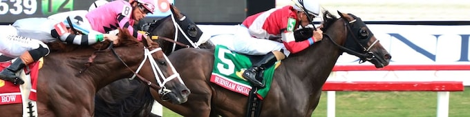 Burnham Square copes with cutback in Arlington Million