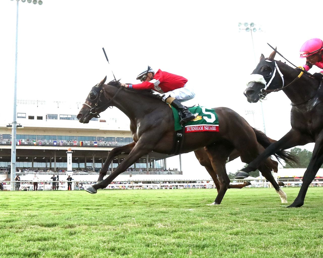 Burnham Square wins the Arlington Million at Colonial Downs.
