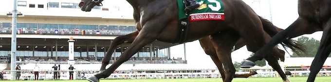 Burnham Square faces stiff Euro challenge in Kentucky Turf Cup