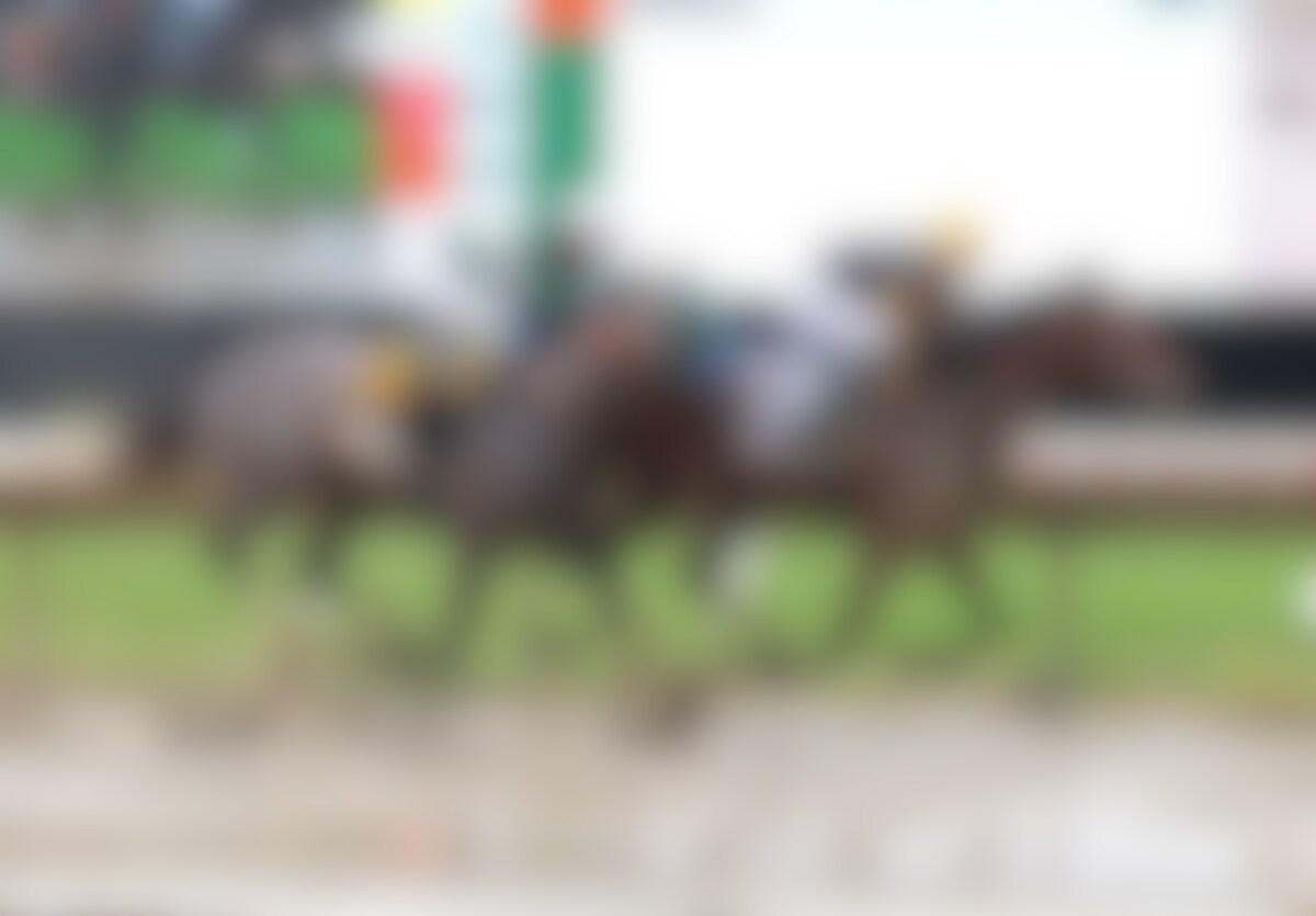 Baby Vino wins the Haskell Stakes at Monmouth Stakes.