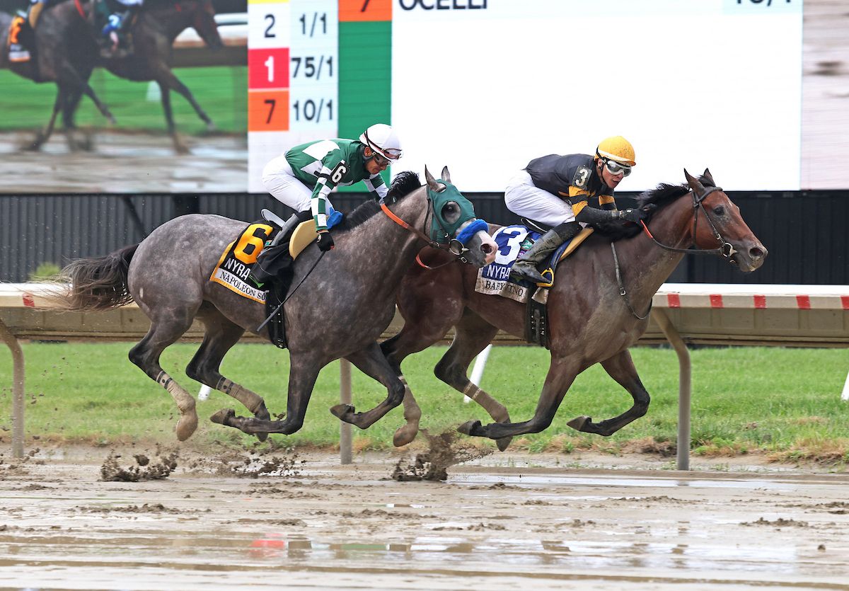 Baby Vino wins the Haskell Stakes at Monmouth Stakes.