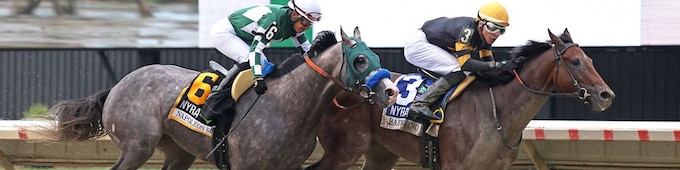 Haskell LIVE: Odds, picks, analysis, results and more
