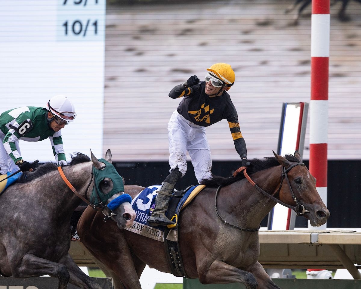 Baby Vino wins the Haskell Stakes at Monmouth Stakes.
