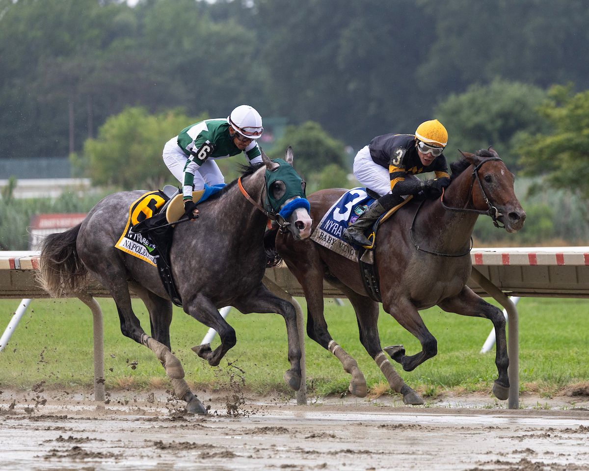 Baby Vino wins the Haskell Stakes at Monmouth Stakes.