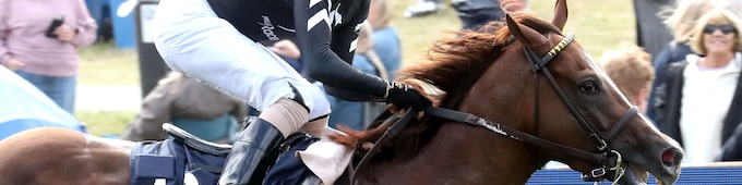 Bacio, Kalpana, Item among Breeders’ Cup qualifiers at York