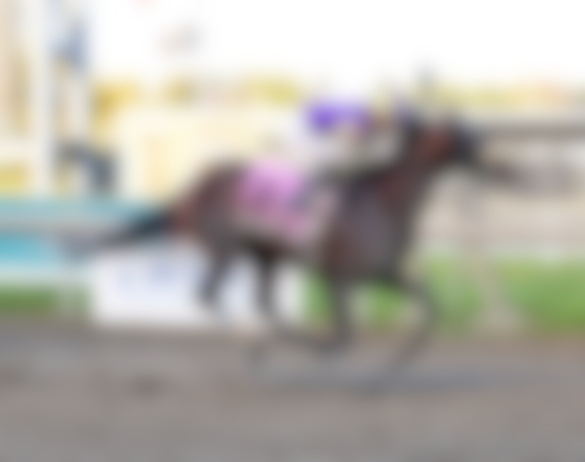 Baeza wins the Pennsylcania Derby at Parx Racing. 