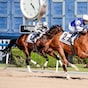 Banishing topples Commissioner King in Godolphin Mile