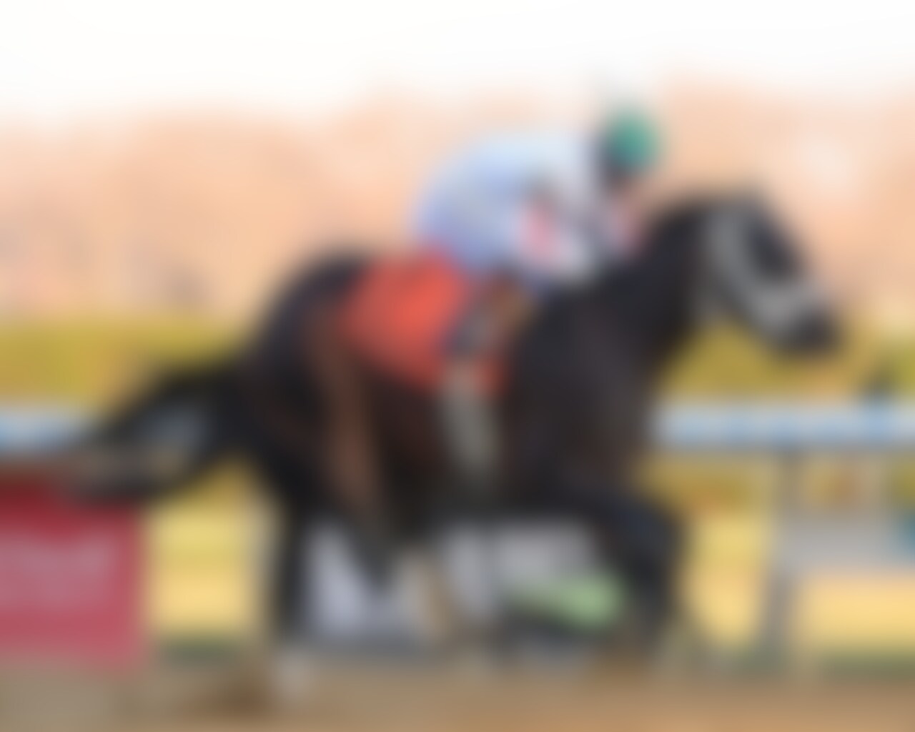 Bishops Bay wins the Cigar Mile at Aqueduct.