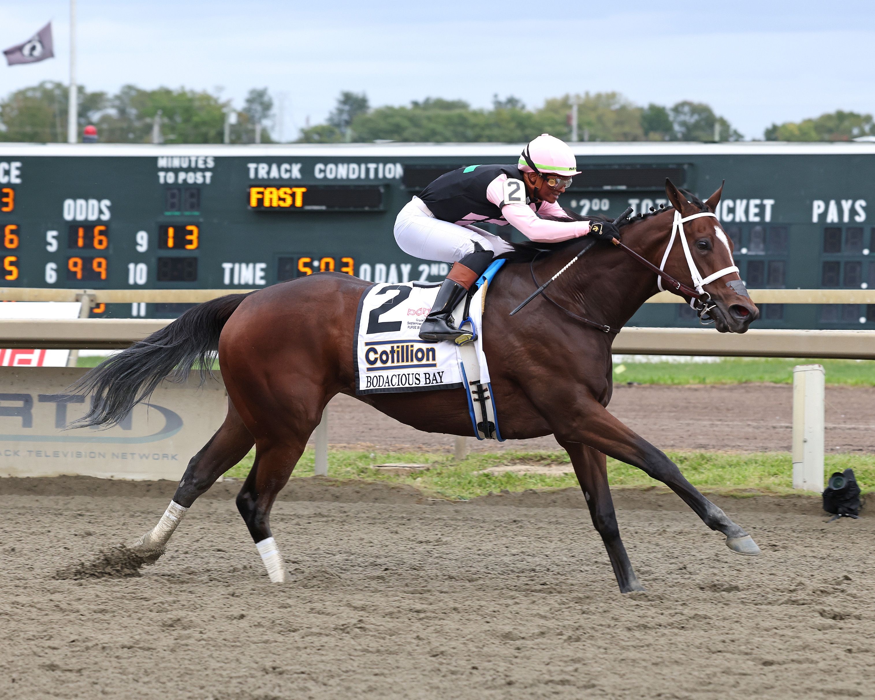 Bodacious Bay makes a statement in Cotillion