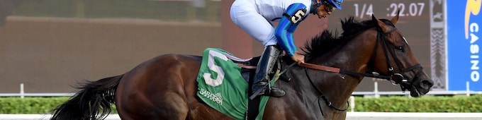 Book’em Danno stars in Vanderbilt; Future is Now rebounds in Caress