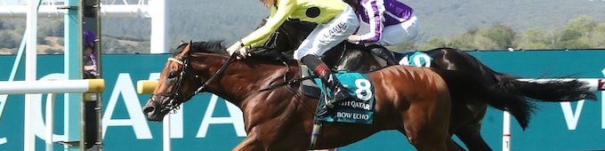 Bow Echo, Diamond Necklace remain unbeaten at Goodwood