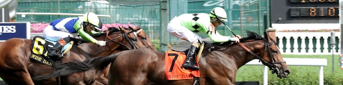 Brilliant Berti prevails with patient tactics in Wise Dan
